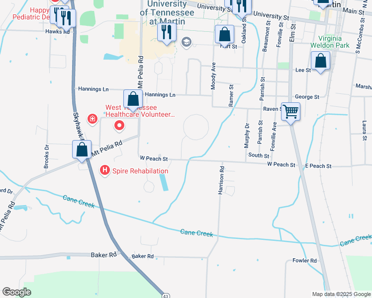 map of restaurants, bars, coffee shops, grocery stores, and more near 237 West Peach Street in Martin