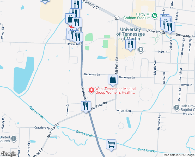 map of restaurants, bars, coffee shops, grocery stores, and more near 436 Hannings Lane in Martin