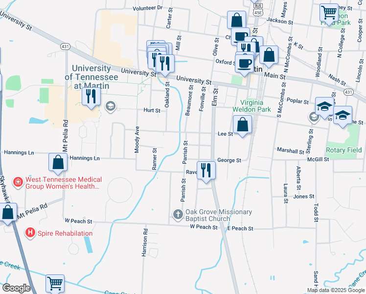 map of restaurants, bars, coffee shops, grocery stores, and more near 205 Parrish Street in Martin