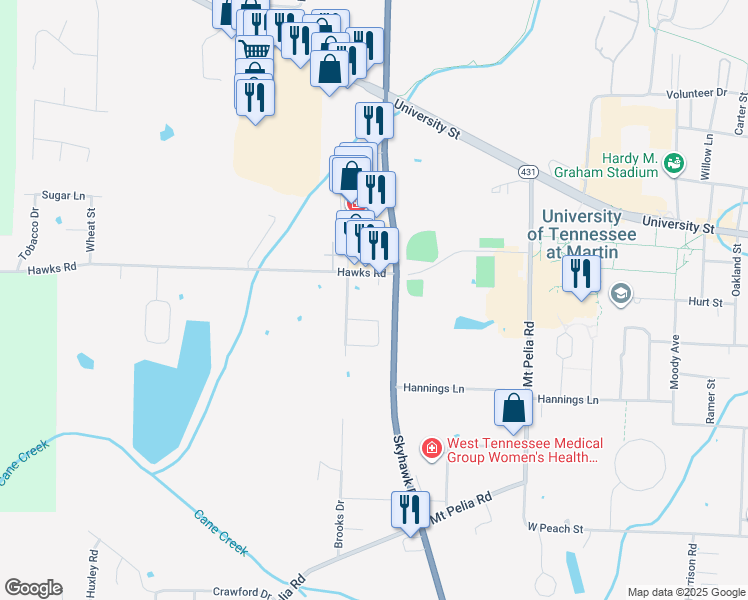 map of restaurants, bars, coffee shops, grocery stores, and more near 5575 Skyhawk Parkway in Martin
