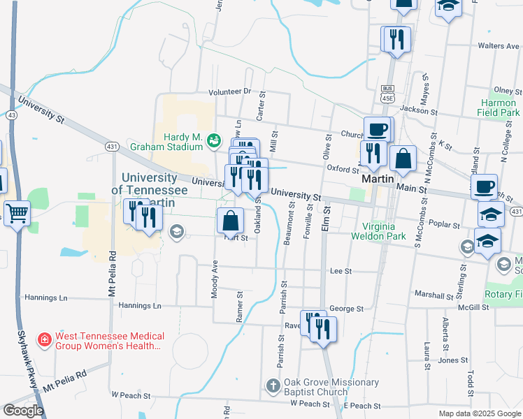 map of restaurants, bars, coffee shops, grocery stores, and more near 208 Oakland St in Martin