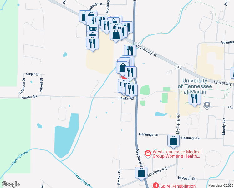 map of restaurants, bars, coffee shops, grocery stores, and more near 215 Hawks Road in Martin