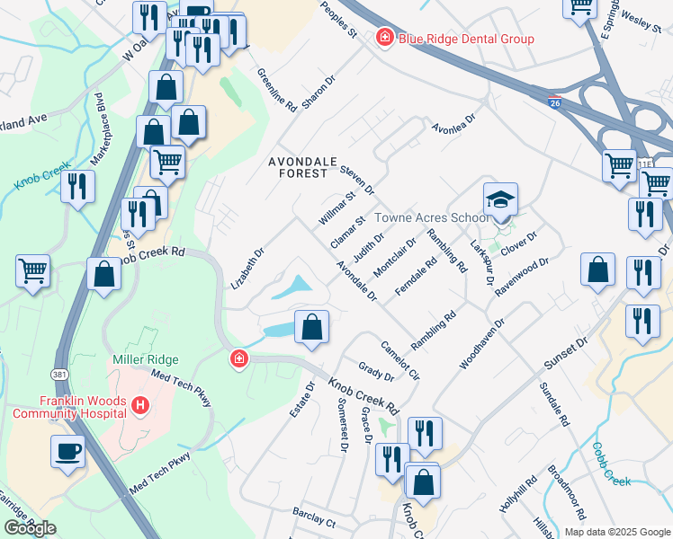 map of restaurants, bars, coffee shops, grocery stores, and more near 719 Judith Drive in Johnson City