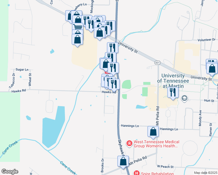 map of restaurants, bars, coffee shops, grocery stores, and more near 215 Hawks Road in Martin