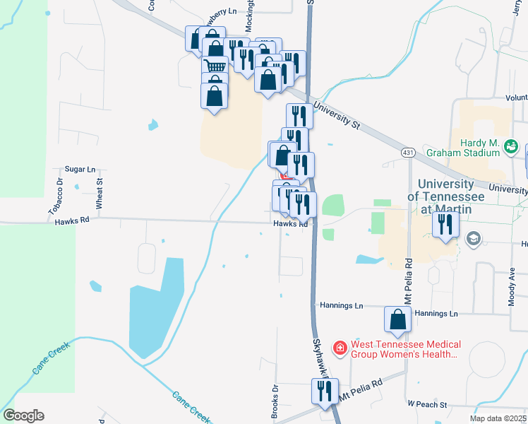 map of restaurants, bars, coffee shops, grocery stores, and more near 215 Hawks Road in Martin