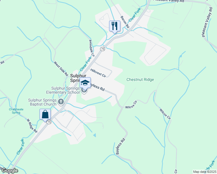 map of restaurants, bars, coffee shops, grocery stores, and more near 166 Bayless Road in Jonesborough