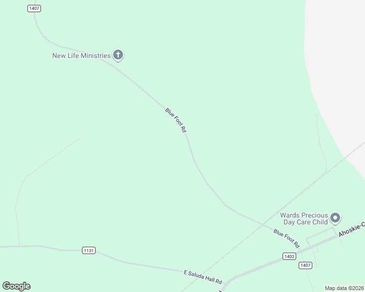 map of restaurants, bars, coffee shops, grocery stores, and more near 434 Blue Foot Road in Ahoskie