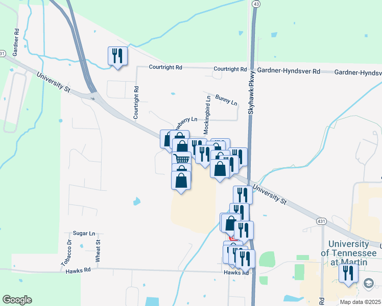 map of restaurants, bars, coffee shops, grocery stores, and more near 100 University Plaza Drive in Martin