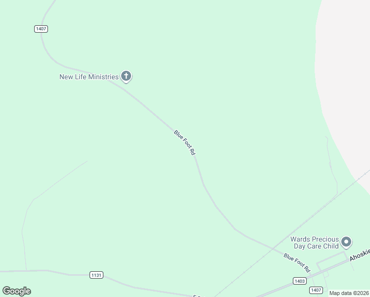 map of restaurants, bars, coffee shops, grocery stores, and more near 434 Blue Foot Road in Ahoskie