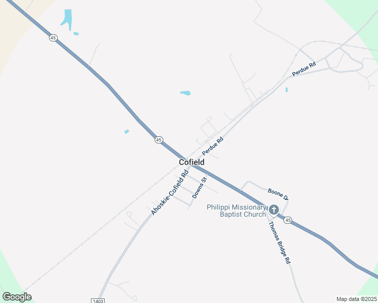 map of restaurants, bars, coffee shops, grocery stores, and more near 449 North Carolina 45 in Cofield
