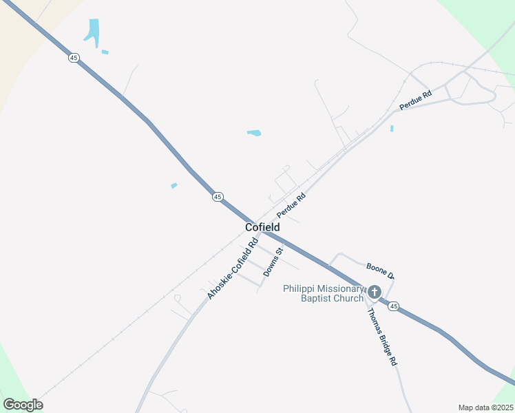map of restaurants, bars, coffee shops, grocery stores, and more near 449 North Carolina 45 in Cofield