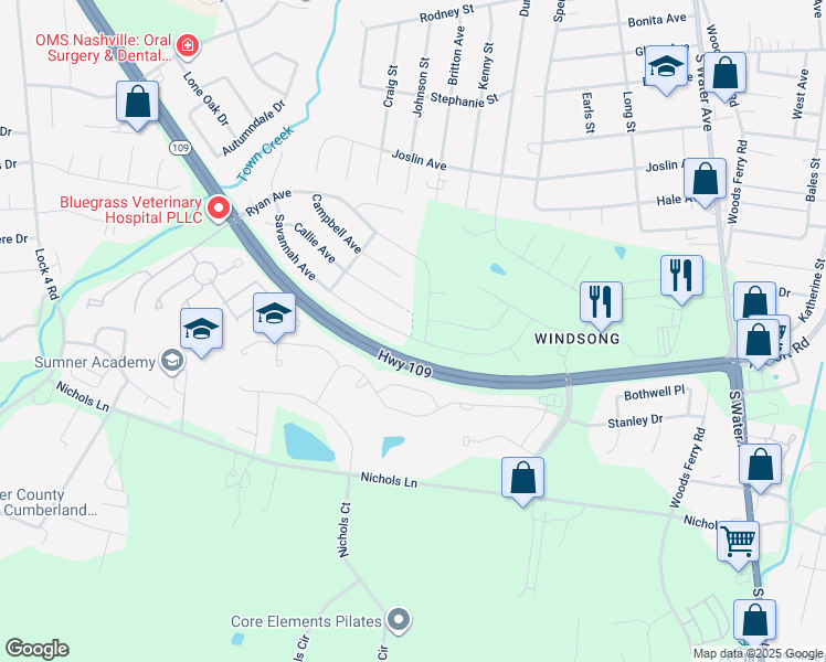 map of restaurants, bars, coffee shops, grocery stores, and more near 1144 Savannah Avenue in Gallatin