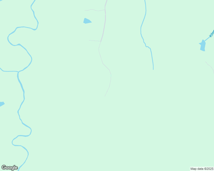 map of restaurants, bars, coffee shops, grocery stores, and more near 1438 Will Paylor Road in Leasburg
