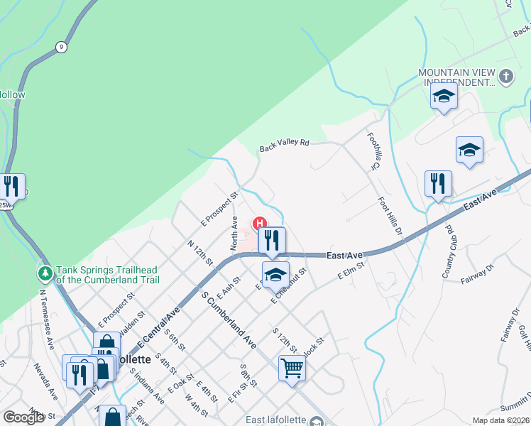 map of restaurants, bars, coffee shops, grocery stores, and more near 139 North Massachusetts Avenue in LaFollette