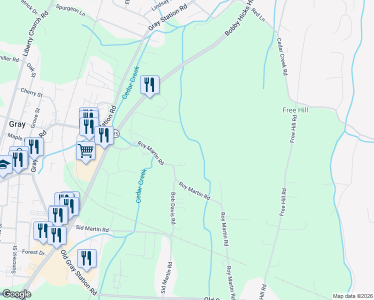 map of restaurants, bars, coffee shops, grocery stores, and more near 308 Roy Martin Road in Gray