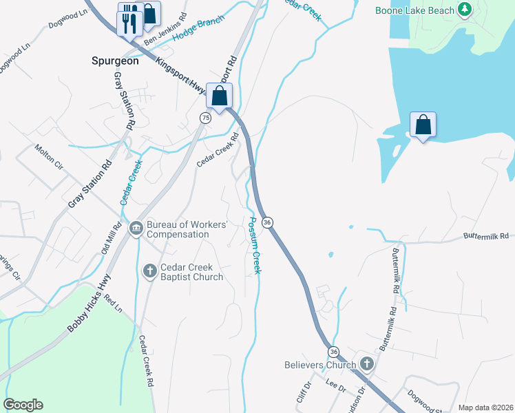 map of restaurants, bars, coffee shops, grocery stores, and more near 6313 Kingsport Highway in Johnson City