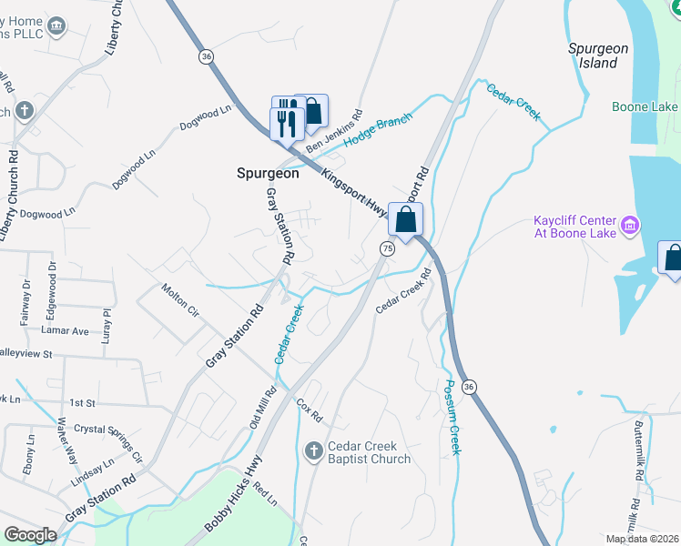 map of restaurants, bars, coffee shops, grocery stores, and more near 9 Ivy Court in Johnson City