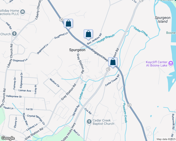 map of restaurants, bars, coffee shops, grocery stores, and more near 176 Gray Station Road in Johnson City