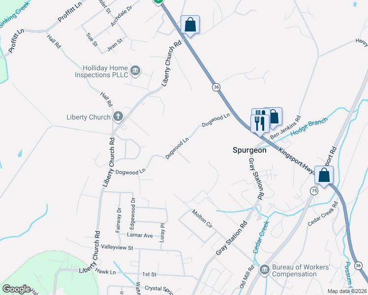 map of restaurants, bars, coffee shops, grocery stores, and more near 213 Dogwood Lane in Kingsport