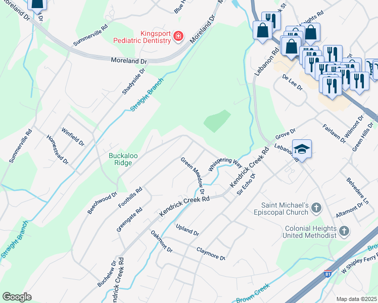 map of restaurants, bars, coffee shops, grocery stores, and more near 509 Foothills Road in Kingsport
