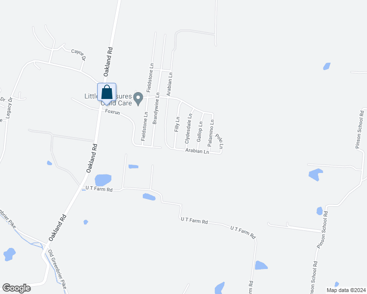 map of restaurants, bars, coffee shops, grocery stores, and more near 509 Arabian Lane in Springfield