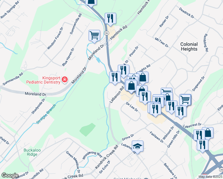 map of restaurants, bars, coffee shops, grocery stores, and more near 504 Ashley Oaks Private Drive in Kingsport