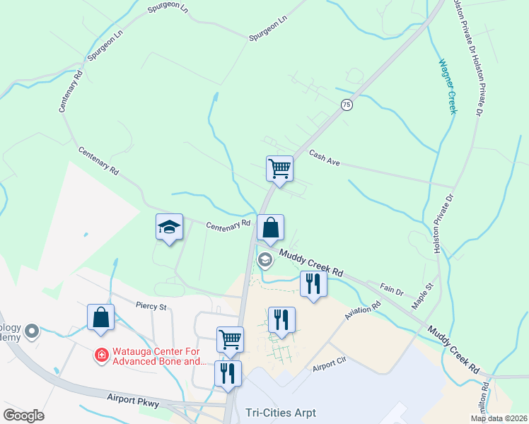 map of restaurants, bars, coffee shops, grocery stores, and more near 2123 Bristol Highway in Blountville
