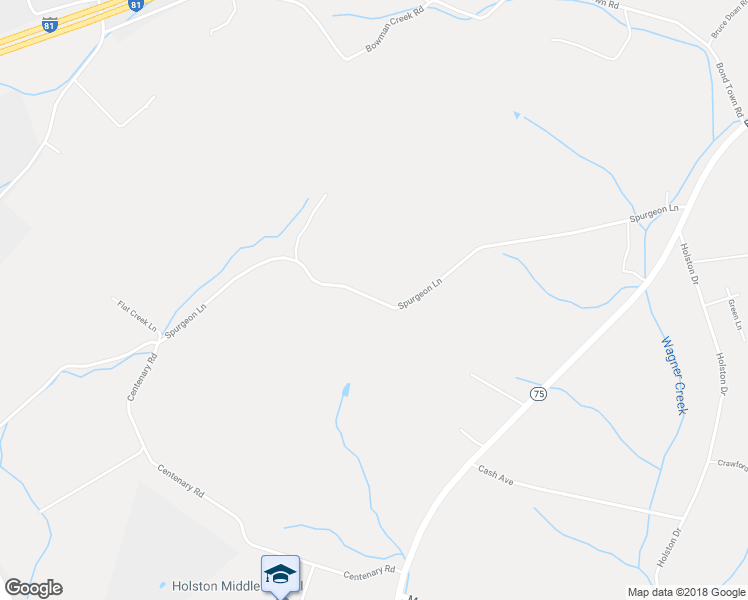 map of restaurants, bars, coffee shops, grocery stores, and more near 439 Spurgeon Lane in Blountville