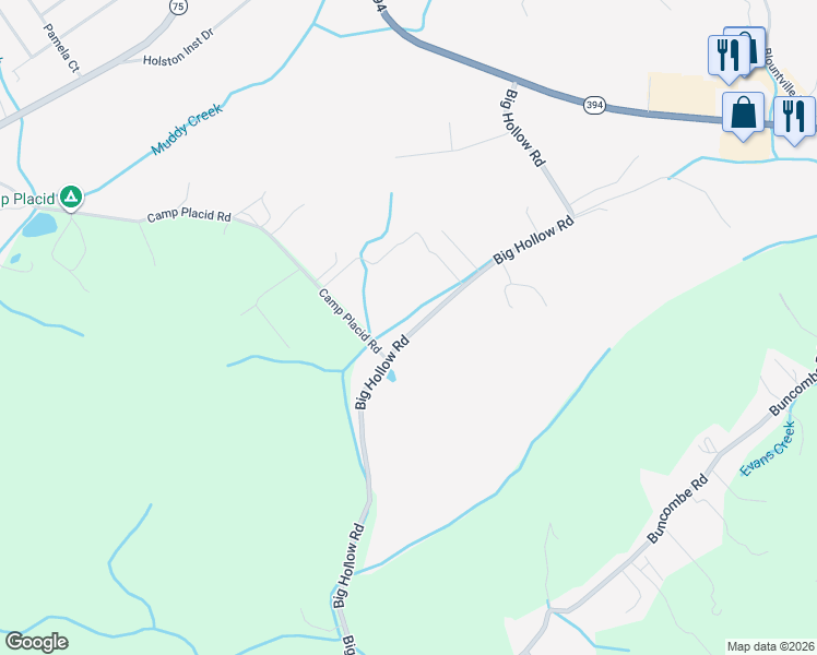 map of restaurants, bars, coffee shops, grocery stores, and more near 866 Big Hollow Road in Blountville