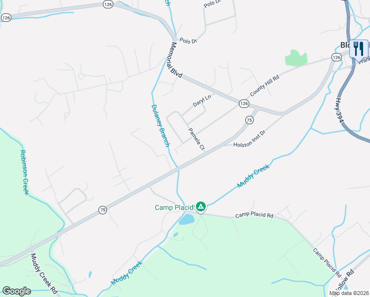 map of restaurants, bars, coffee shops, grocery stores, and more near 278 Pamela Court in Blountville