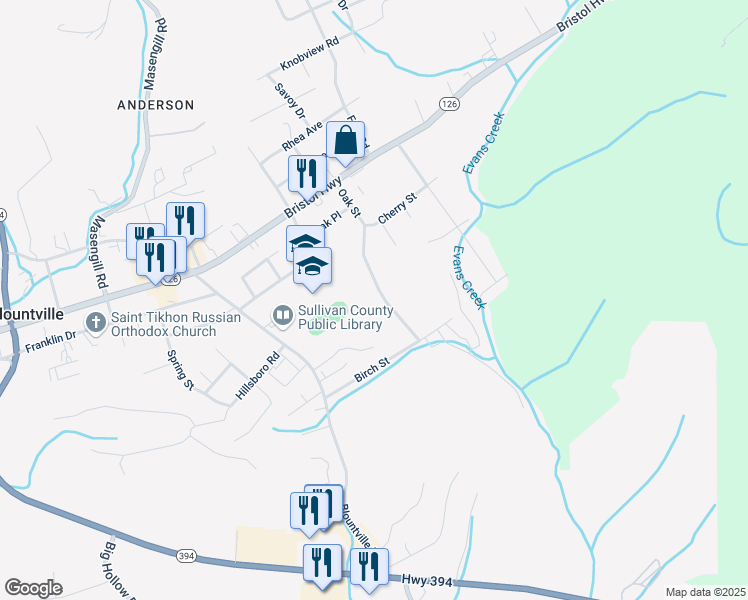 map of restaurants, bars, coffee shops, grocery stores, and more near 155 School Avenue in Blountville