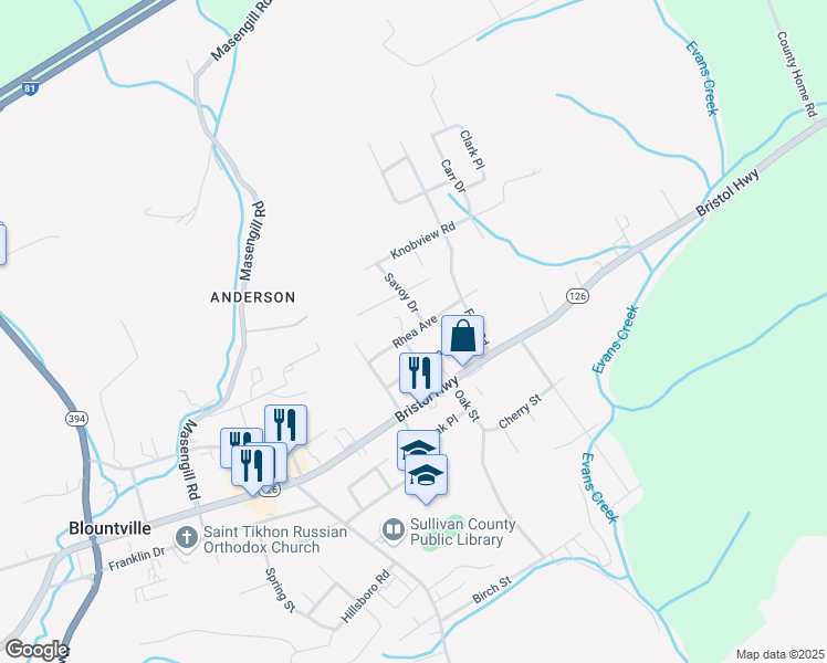 map of restaurants, bars, coffee shops, grocery stores, and more near 255 Rhea Avenue in Blountville