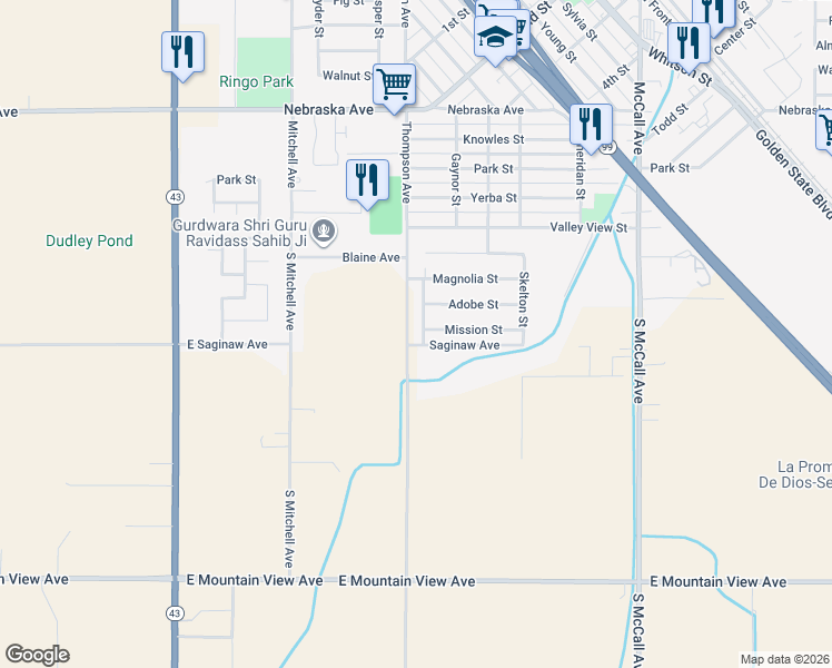 map of restaurants, bars, coffee shops, grocery stores, and more near 1507 San Carlos in Selma