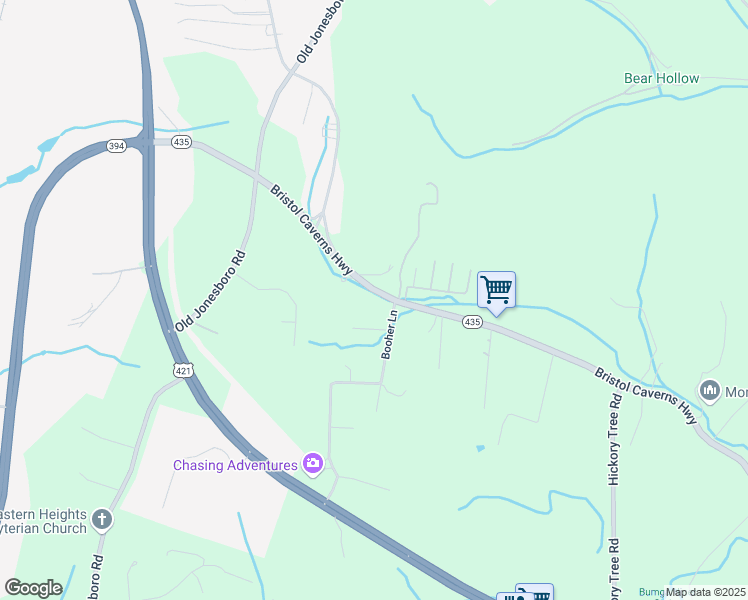 map of restaurants, bars, coffee shops, grocery stores, and more near 376 Bristol Caverns Highway in Bristol