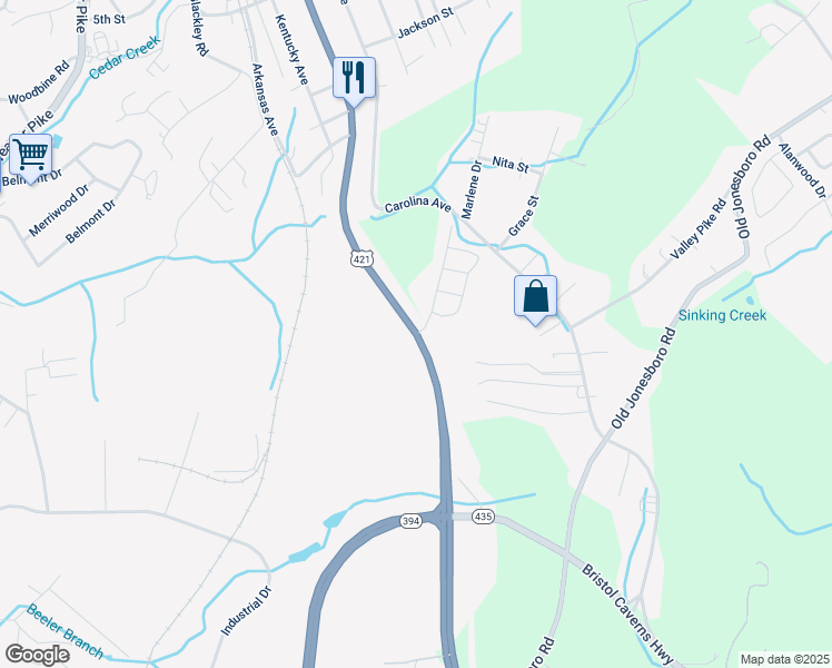 map of restaurants, bars, coffee shops, grocery stores, and more near 204 Brookside Drive in Bristol