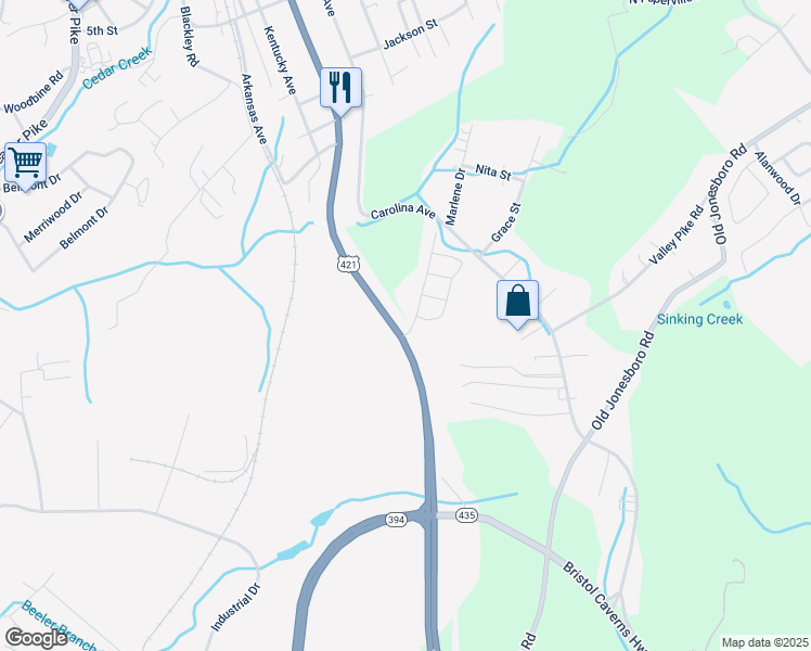 map of restaurants, bars, coffee shops, grocery stores, and more near 1997 U.S. 421 Scenic in Bristol