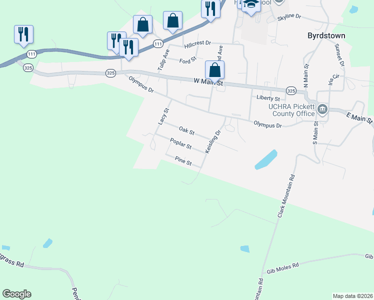 map of restaurants, bars, coffee shops, grocery stores, and more near 1015 Poplar Street in Byrdstown
