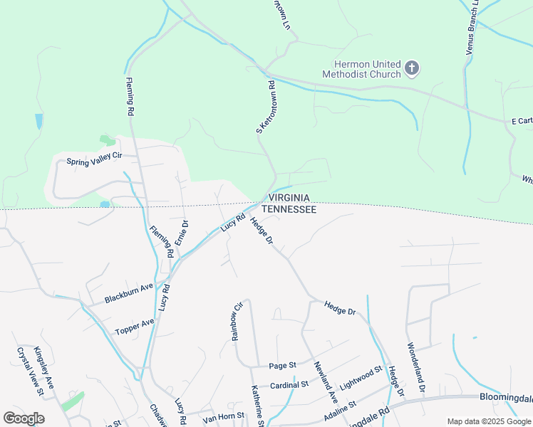 map of restaurants, bars, coffee shops, grocery stores, and more near 737 Hedge Dr in Kingsport