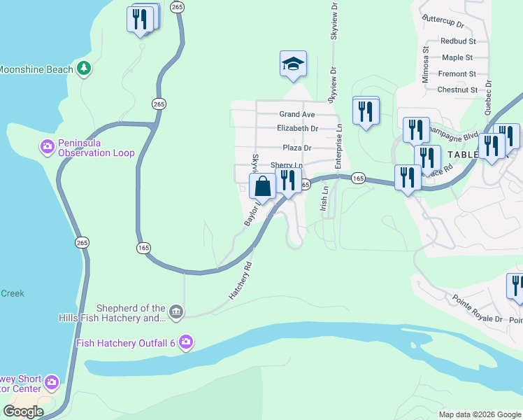 map of restaurants, bars, coffee shops, grocery stores, and more near 314 Baylor Ln in Branson