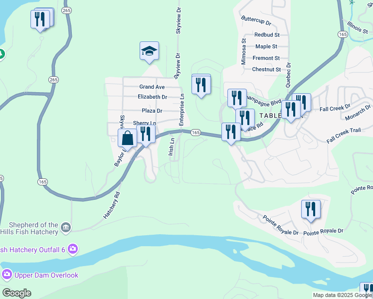 map of restaurants, bars, coffee shops, grocery stores, and more near 138 Hampshire Drive in Branson