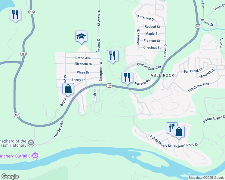 map of restaurants, bars, coffee shops, grocery stores, and more near 248 Avondale Drive in Branson