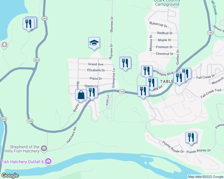map of restaurants, bars, coffee shops, grocery stores, and more near 2456 Missouri 165 in Branson