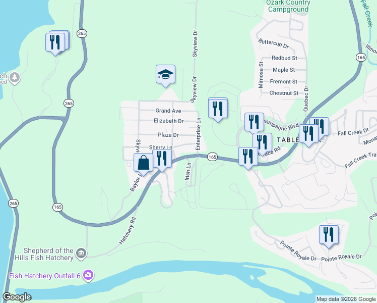 map of restaurants, bars, coffee shops, grocery stores, and more near 2456 Missouri 165 in Branson