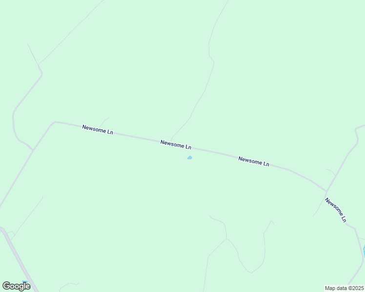 map of restaurants, bars, coffee shops, grocery stores, and more near Newsome Lane in Greensville County