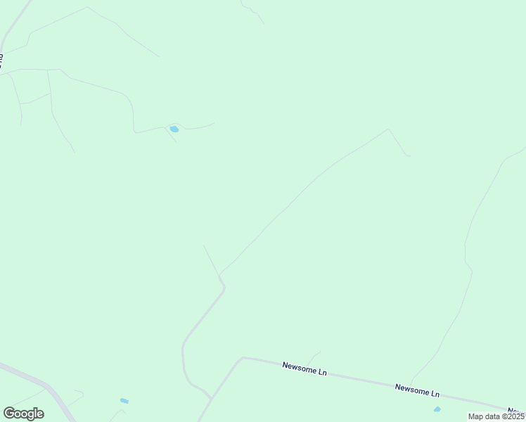 map of restaurants, bars, coffee shops, grocery stores, and more near Newsome Lane in Greensville County