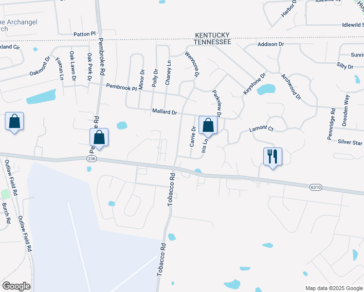 map of restaurants, bars, coffee shops, grocery stores, and more near 803 Iris Lane in Clarksville