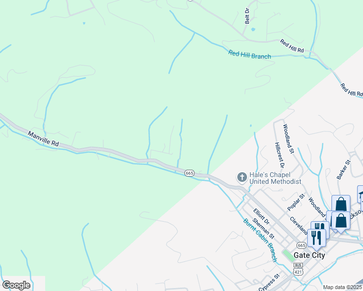 map of restaurants, bars, coffee shops, grocery stores, and more near 243 Cavalier Drive in Gate City
