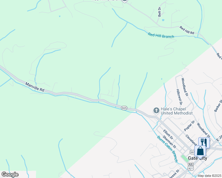map of restaurants, bars, coffee shops, grocery stores, and more near 243 Cavalier Drive in Gate City