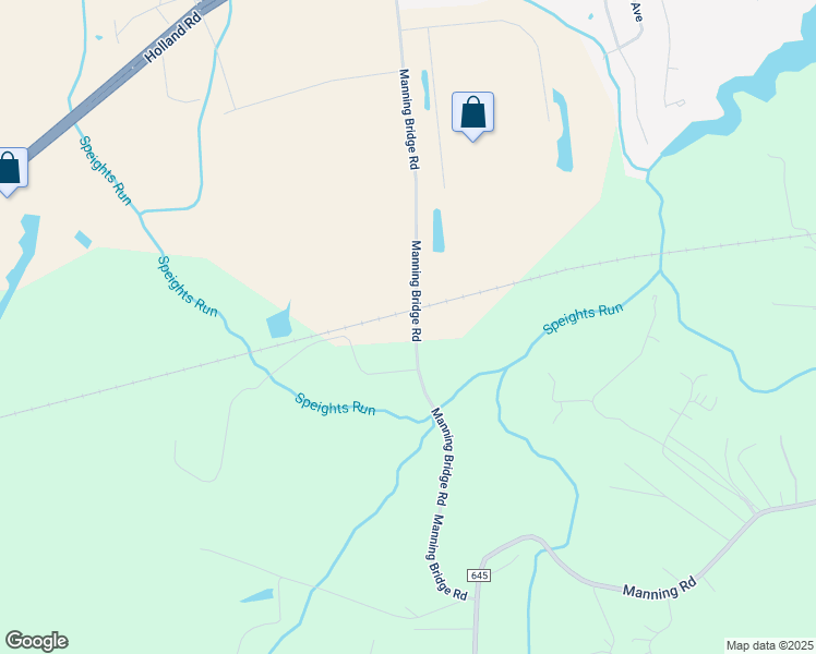 map of restaurants, bars, coffee shops, grocery stores, and more near 449 Manning Bridge Road in Suffolk