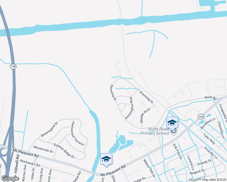 map of restaurants, bars, coffee shops, grocery stores, and more near 253 Downing Drive in Chesapeake
